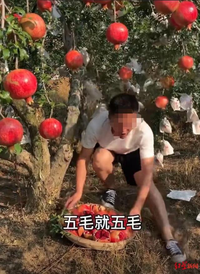 微信下单支付自助平台自助下单不用等客户体验好-万商云集