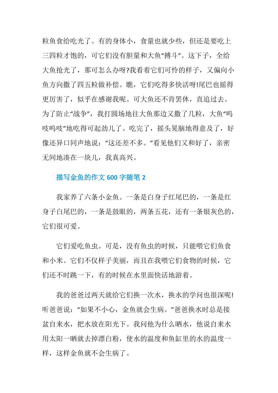 有趣的金鱼|「作文网」的简单介绍