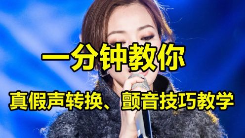 2020颤音刷人气软件（颤音最赚钱的网络红人是谁）