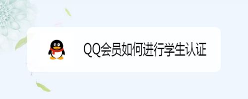 代刷QQ会员（代刷会员网）