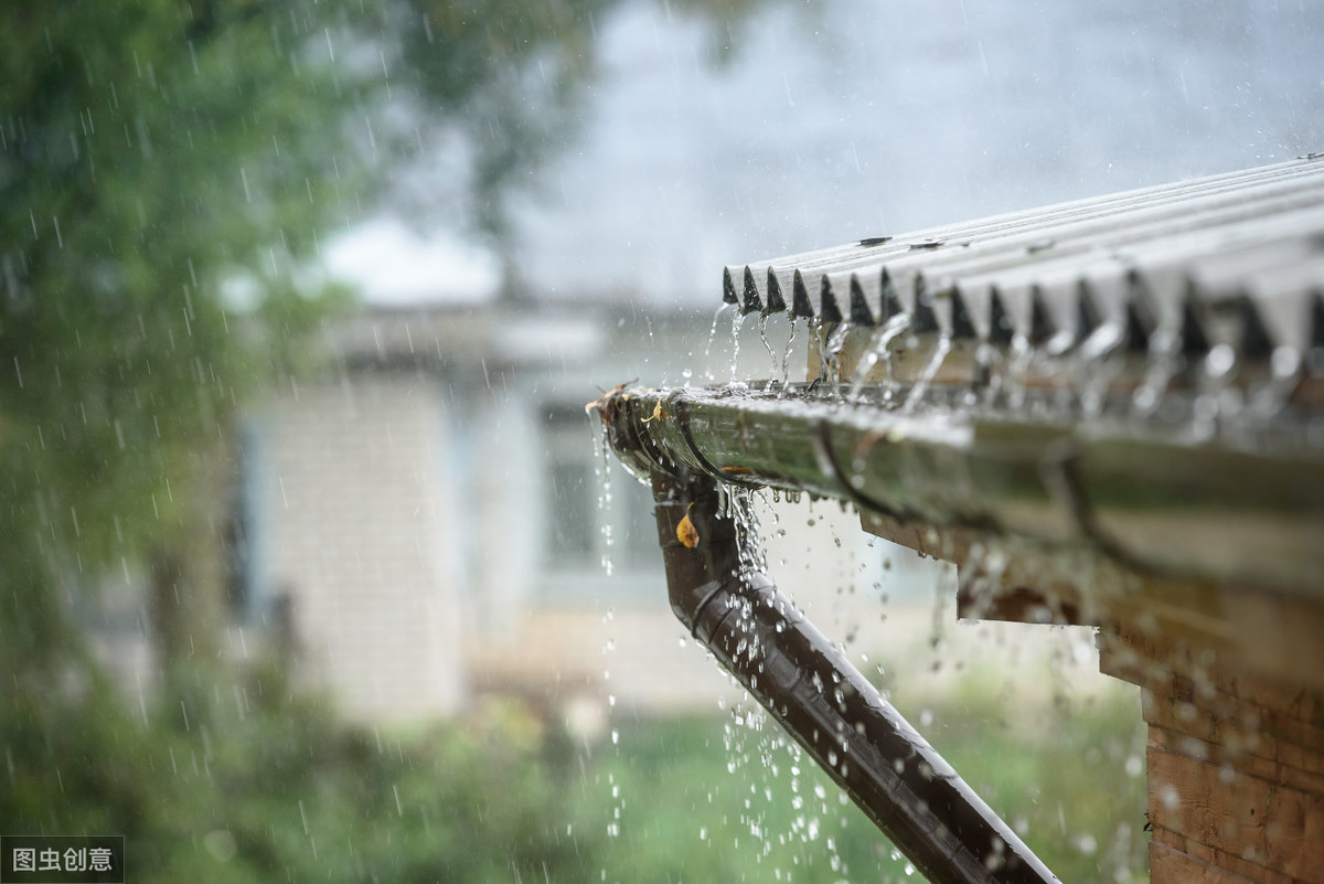 情雨代刷（情雨哥是真的吗）