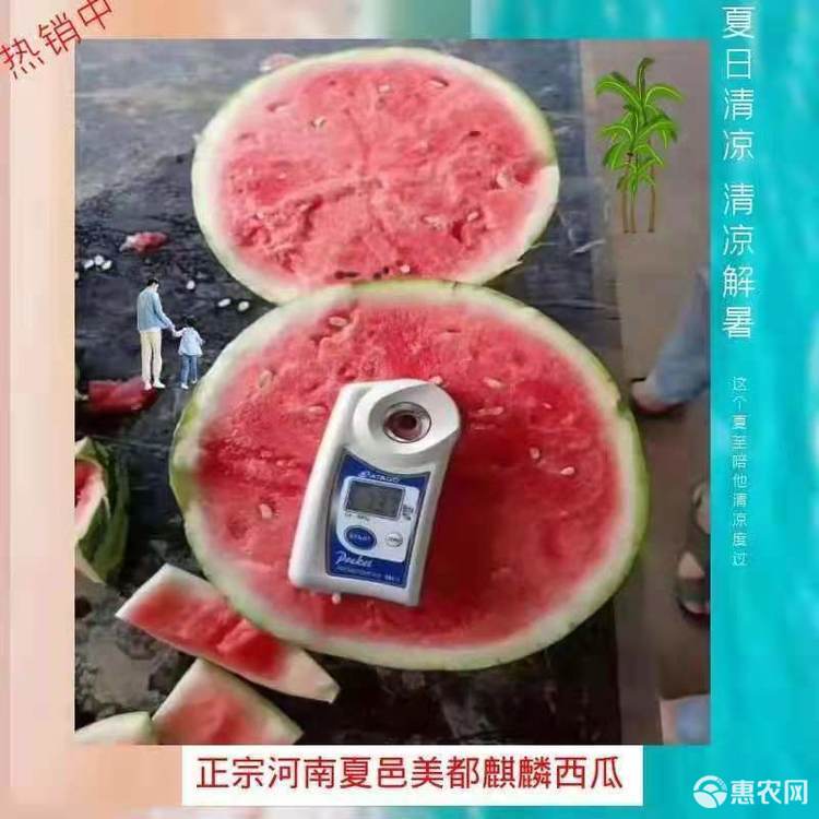 西瓜业务自助下单（西瓜买单是什么app）