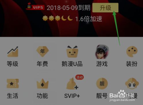 qq代刷svip永久网站（代刷网永久vip是真的吗）