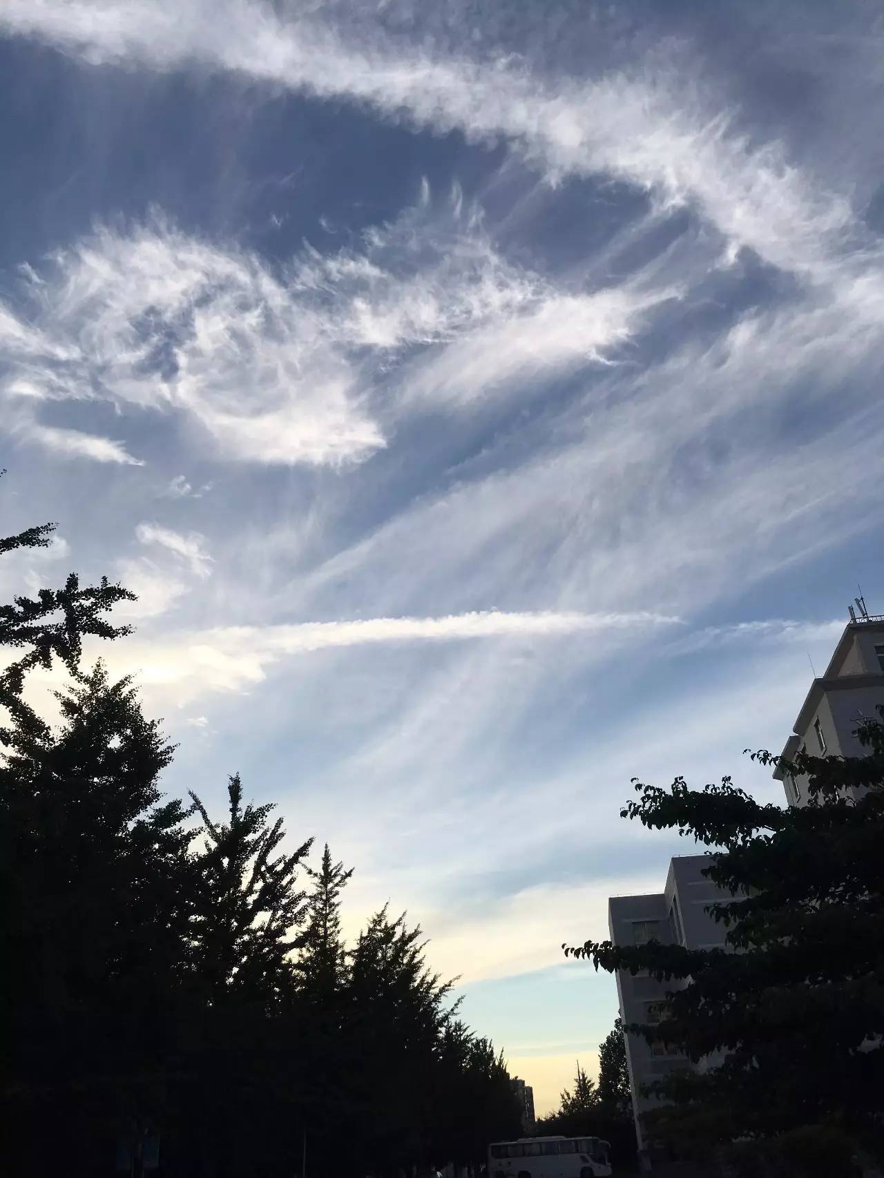 夜雨云商城（夜雨网络科技有限公司）