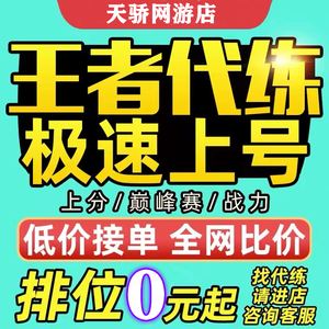 光速业务代刷网络工作室的简单介绍