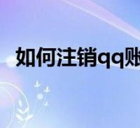 QQ业务网免费_业务网  行业排行榜黑马,24小时自助下单