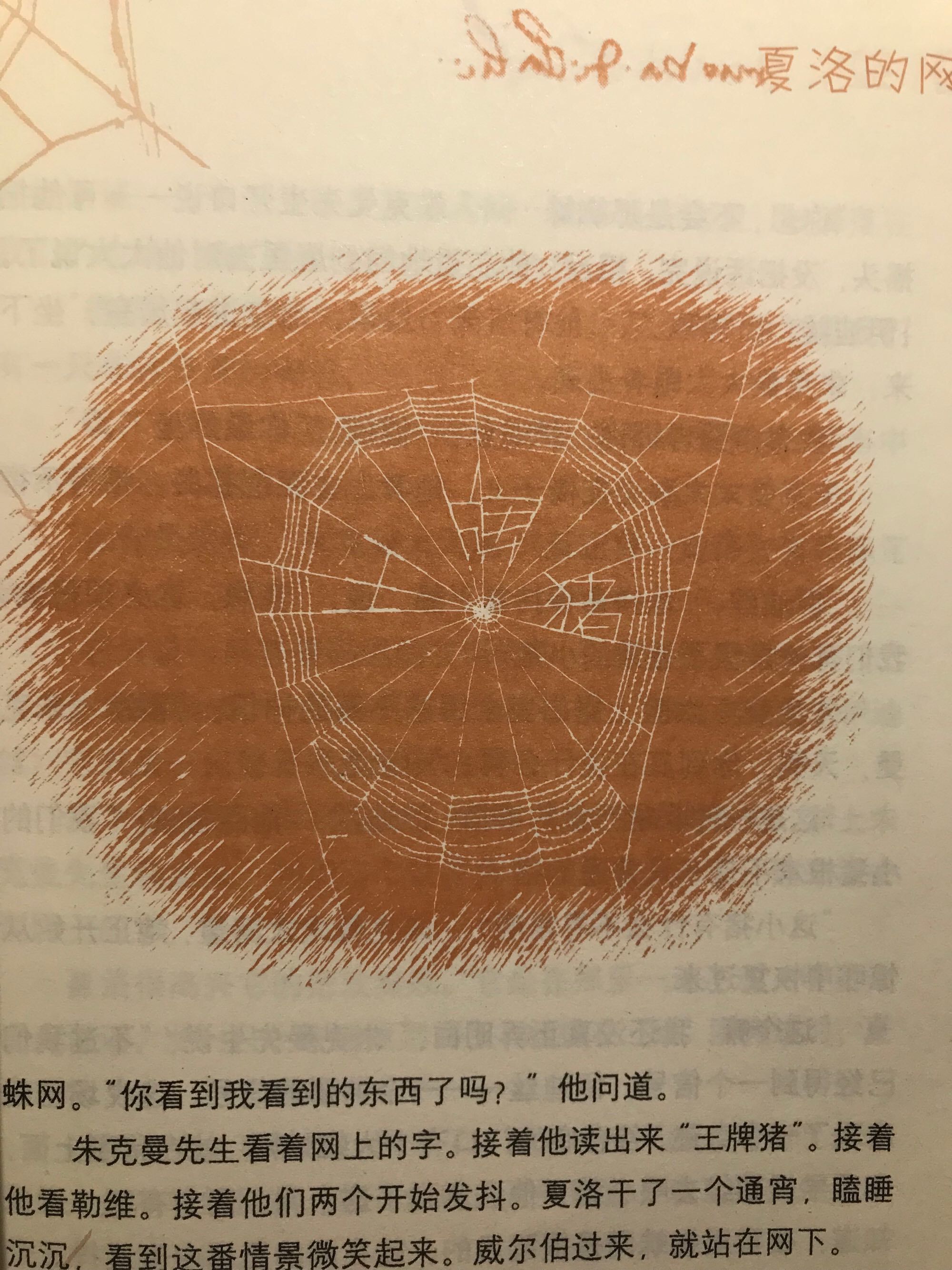 关于夏洛代刷网的信息