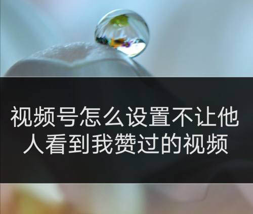 快手评论点赞置顶网站_快手评论置顶赞是什么意思