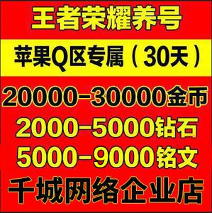 王者荣耀经验代刷网_王者代练刷金币怎么刷的