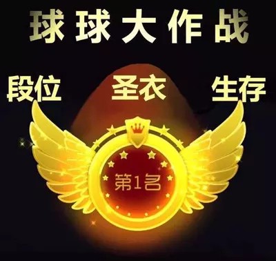 球球大作战代打网站_球球大作战代打接单平台