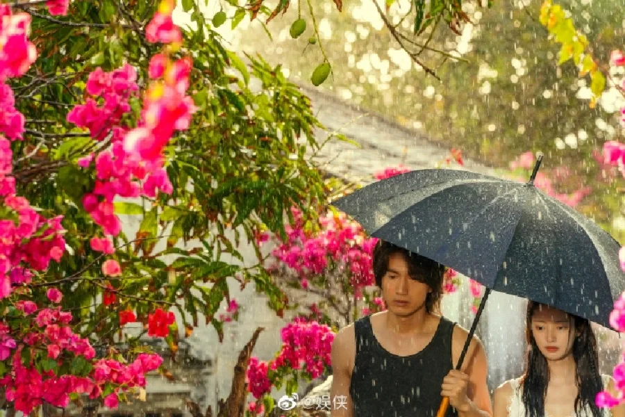 夏花代网刷_免费领10000名片平台