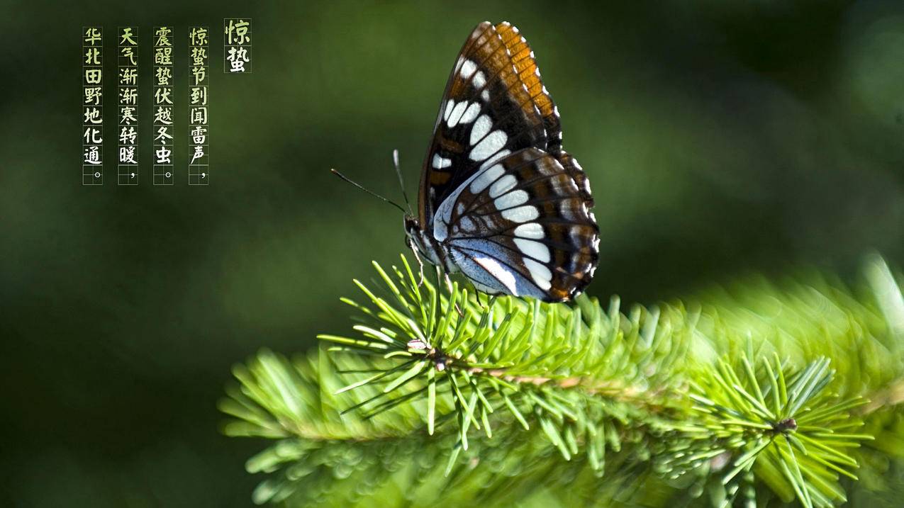 代刷网平台快手_全网低价快手代刷网