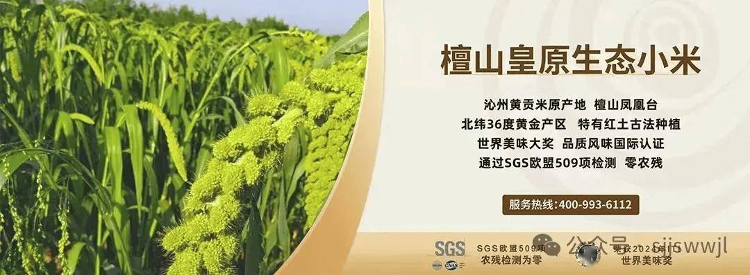 关于qq名片赞24小时自助下单平台的信息