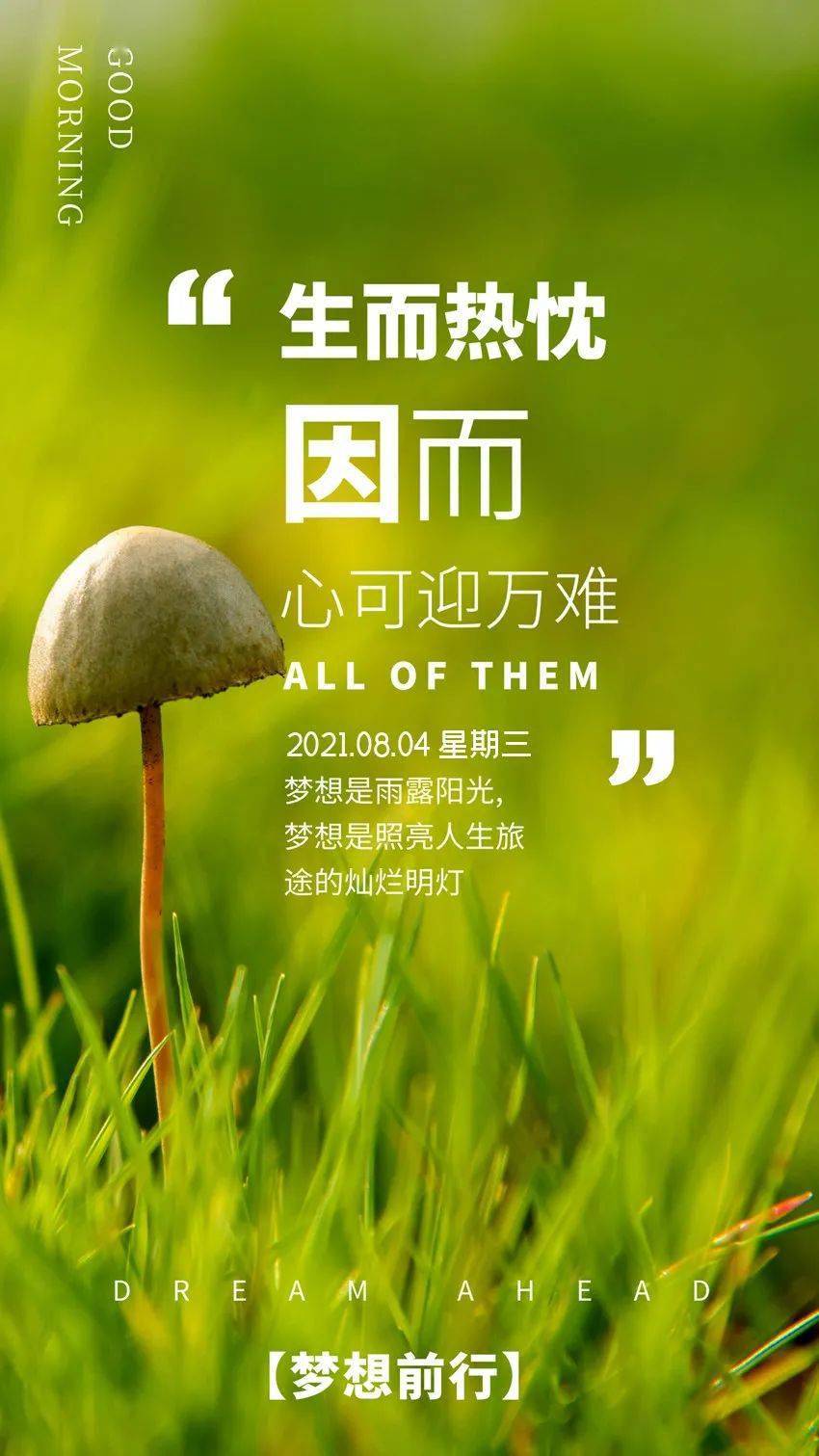 免费赞说说_免费10说说赞